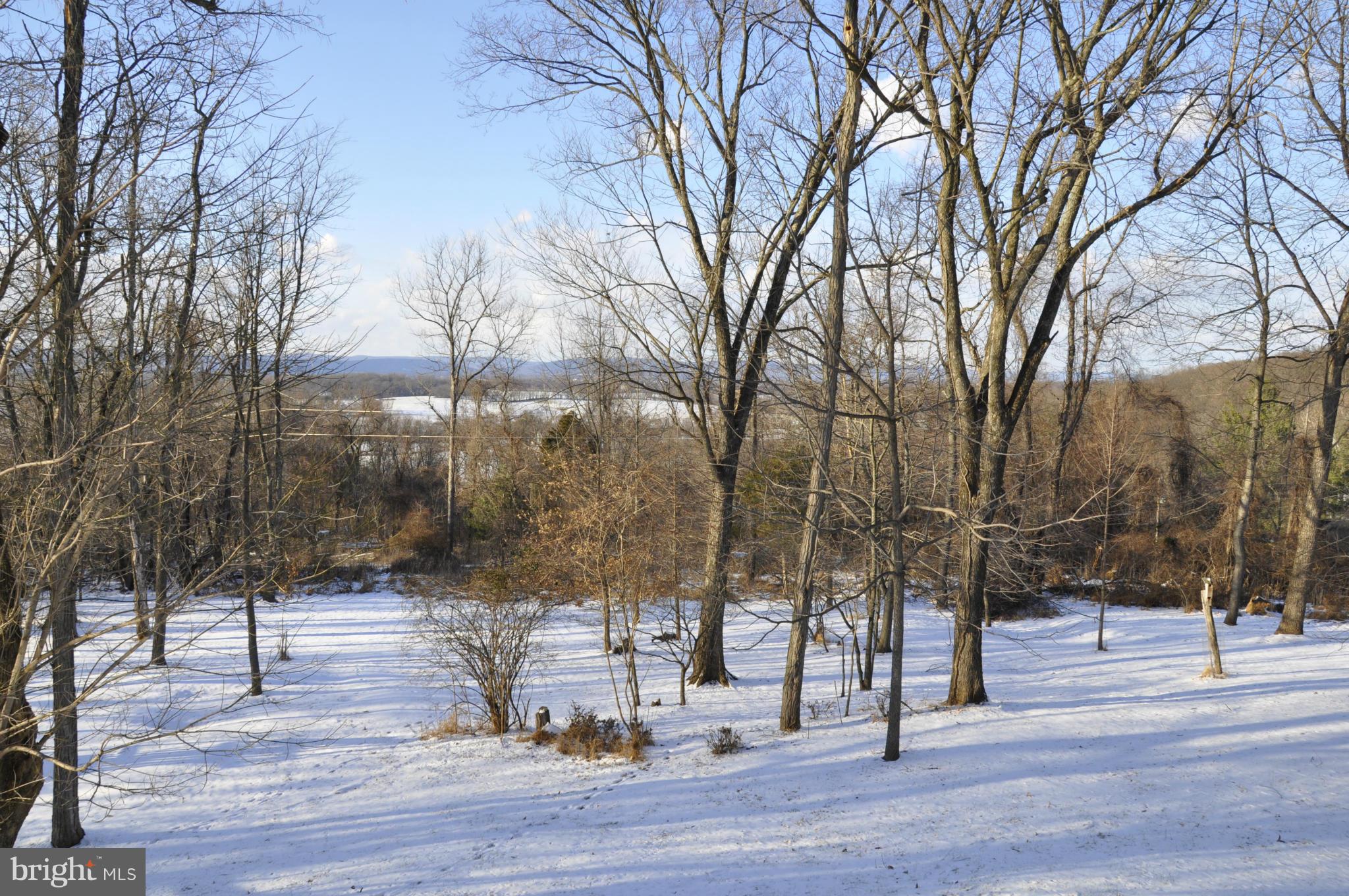 18111 Canby Road Leesburg, VA 20175 - Photo 26 of 30 Backyard and views