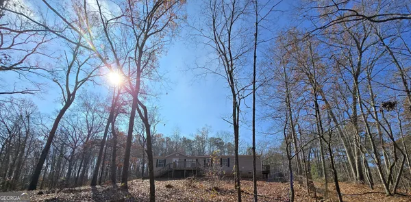 a view of a forest with trees