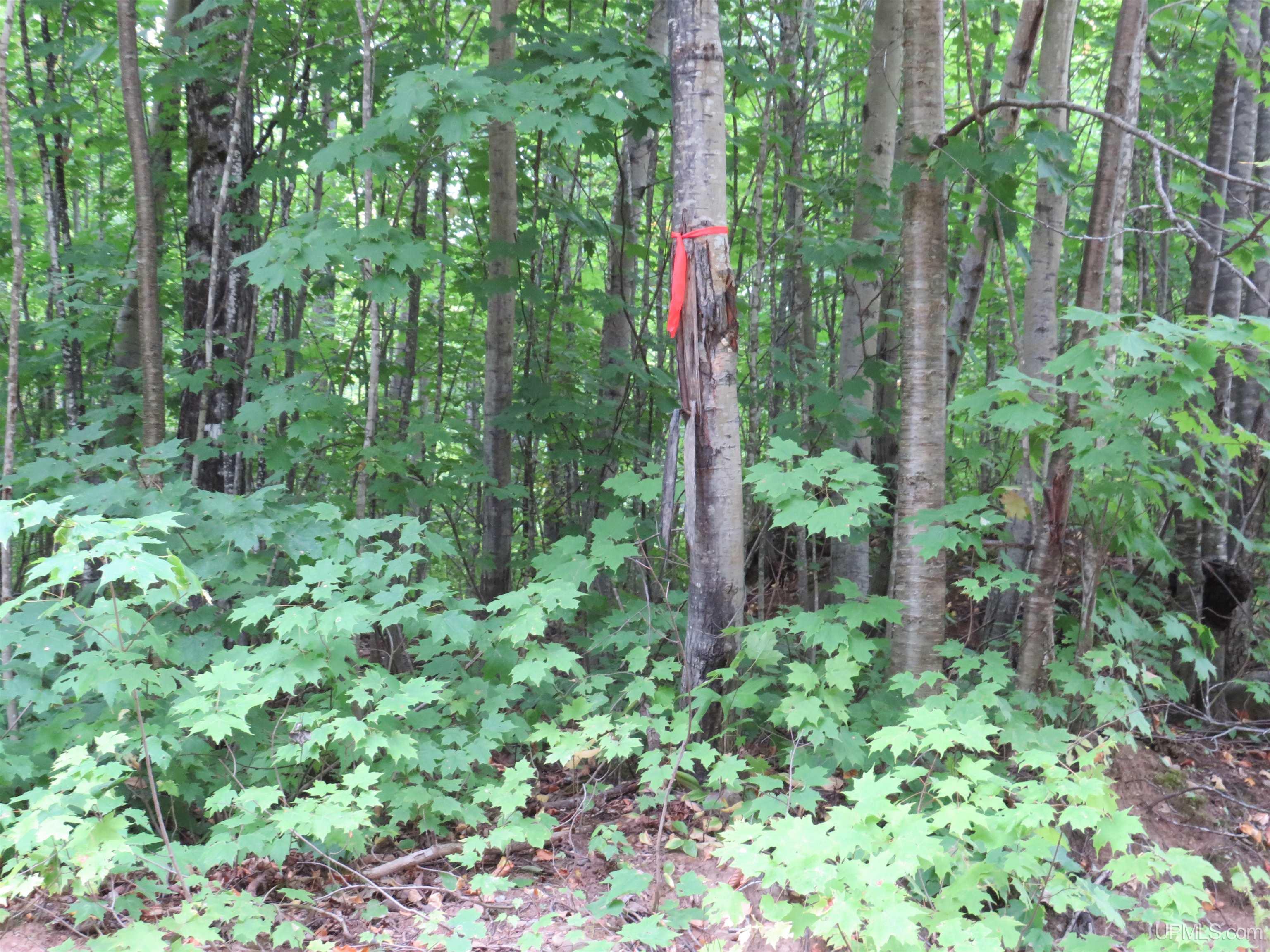 Tbd Tbd Garlic Mountain Road Negaunee, MI 49866 - Photo 47 of 61