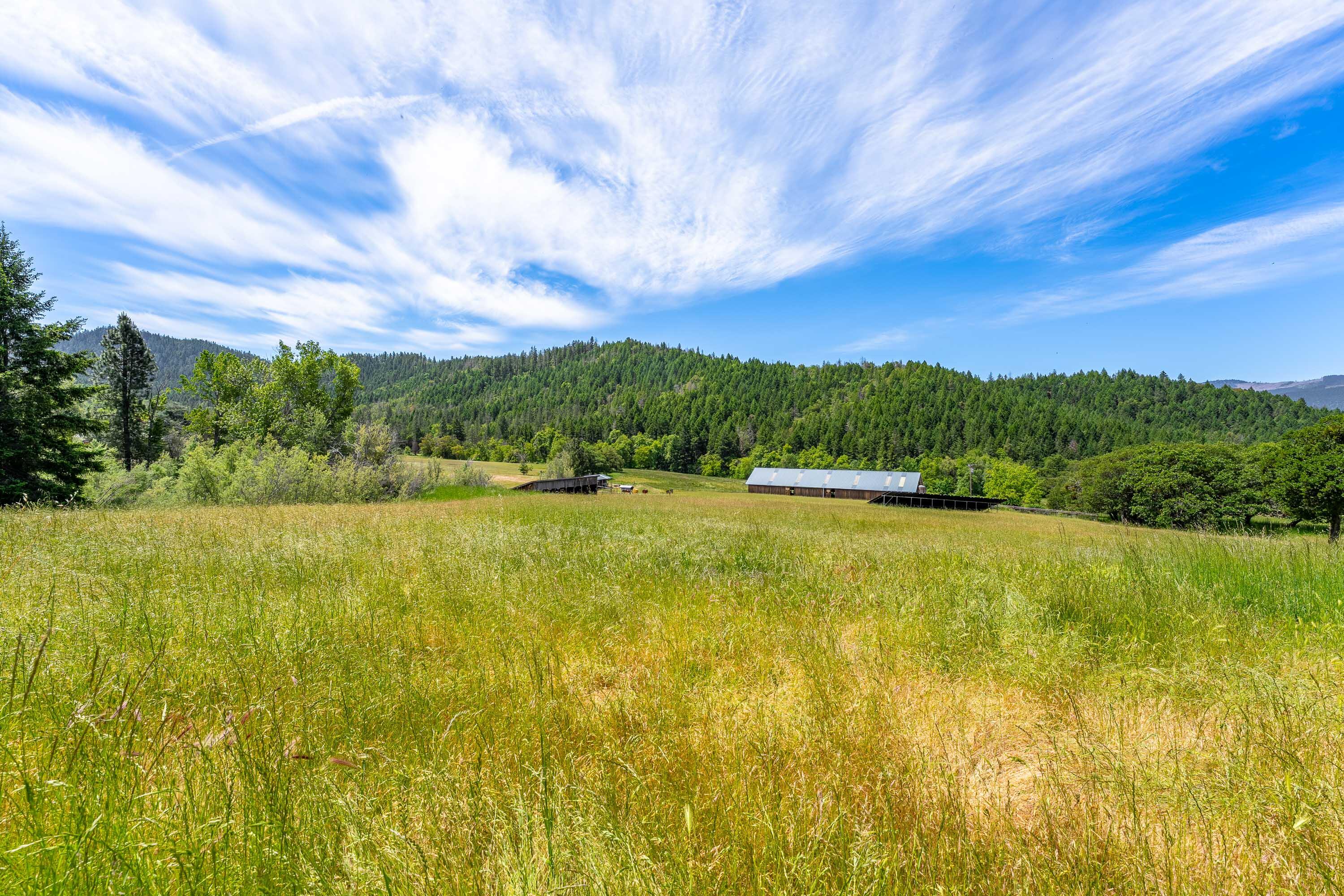 1247 Panther Gulch Road Williams, OR 97544 - Photo 53 of 57 EXT (5 of 53)