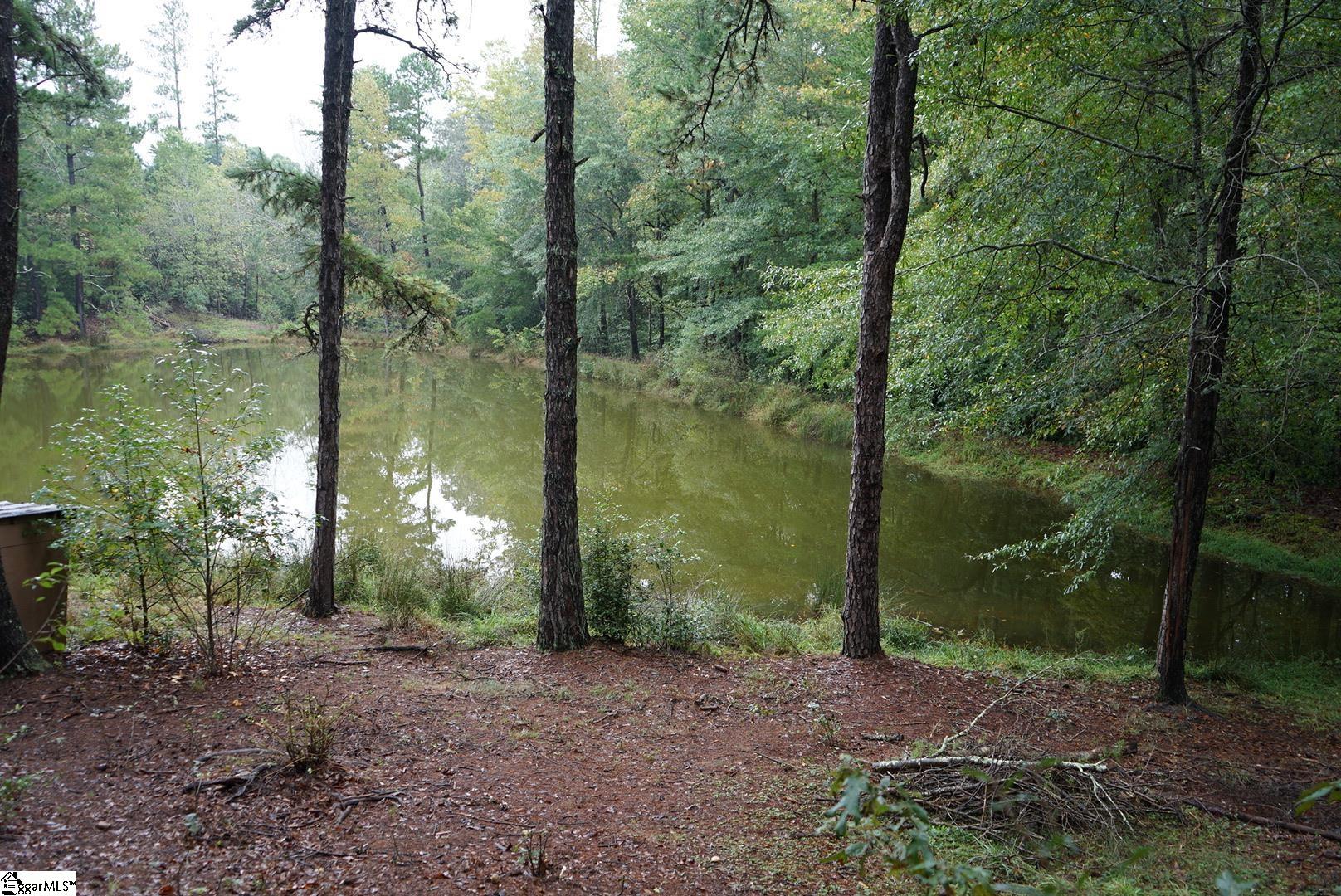 211 Hudson Water Road Greer, SC 29651 - Photo 31 of 36 Gallery Image 31