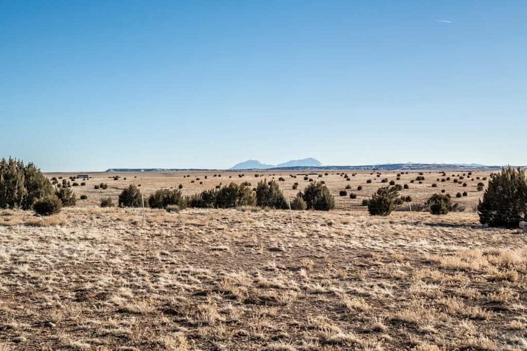 8039 Wolfenberger Road Rye, CO 81069 - Photo 50 of 52