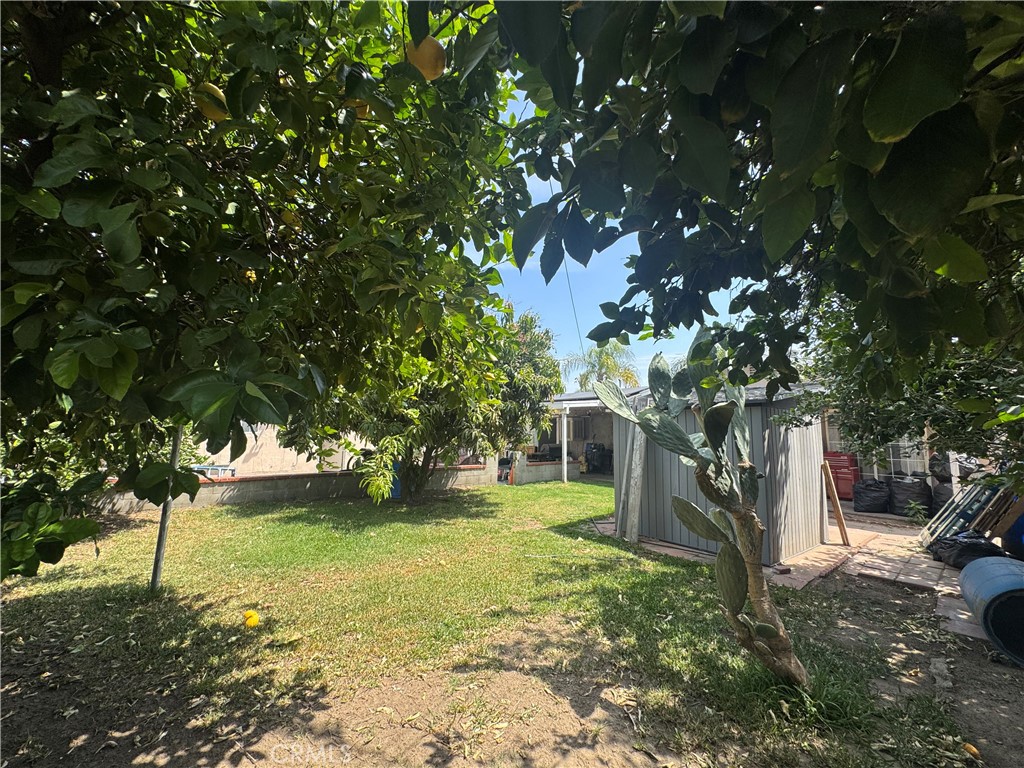 1042 North Alice Avenue Rialto, CA 92376 - Photo 24 of 31 a view of a tree in front of a house