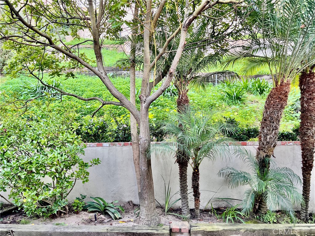 5518 Riviera Way Torrance, CA 90505 - Photo 22 of 31 Back Yard