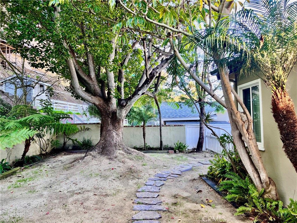 5518 Riviera Way Torrance, CA 90505 - Photo 24 of 31 Mature Tree