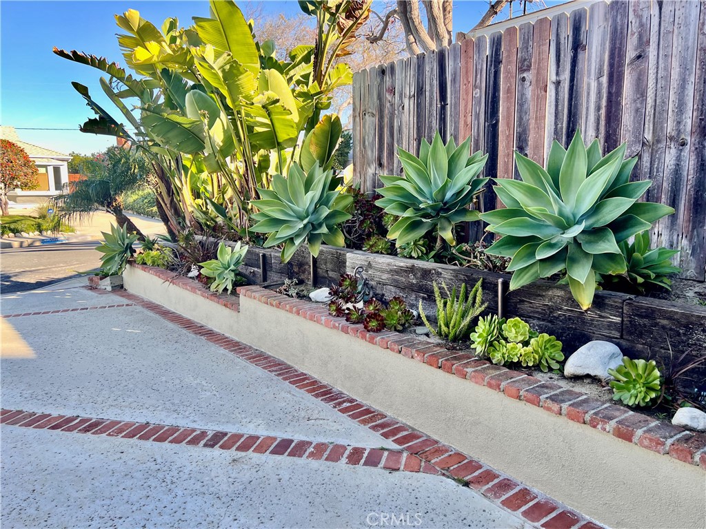 5518 Riviera Way Torrance, CA 90505 - Photo 4 of 31 Succulent Plaintings Along Driveway