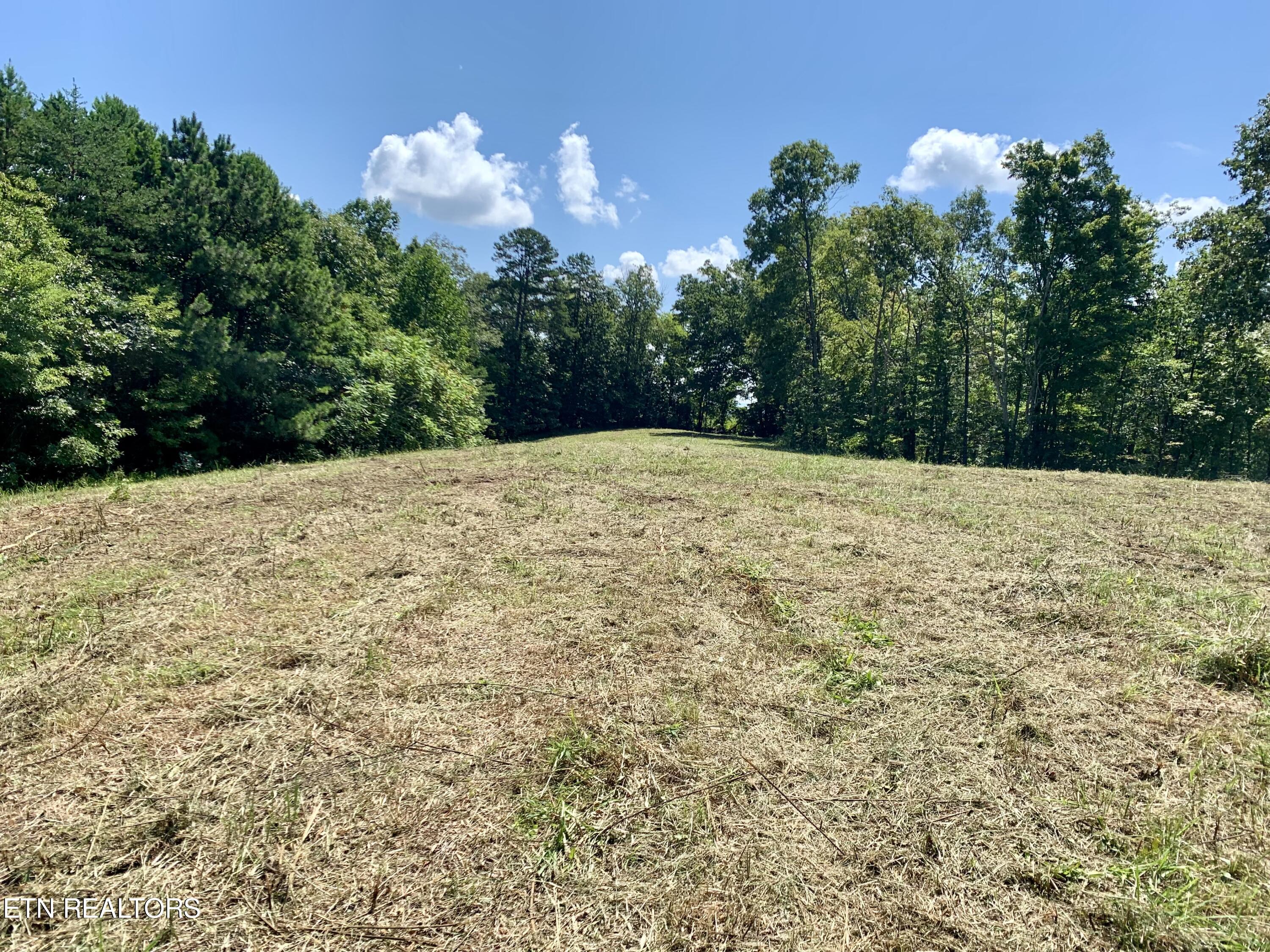 1088 Jones Ridge Road Speedwell, TN 37870 - Photo 52 of 53 IMG_8238
