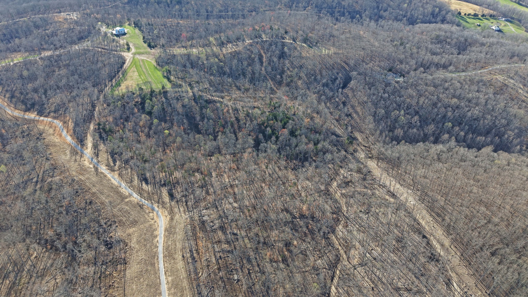 5 Oak Rdg Road Vanleer, TN 37181 - Photo 1 of 9