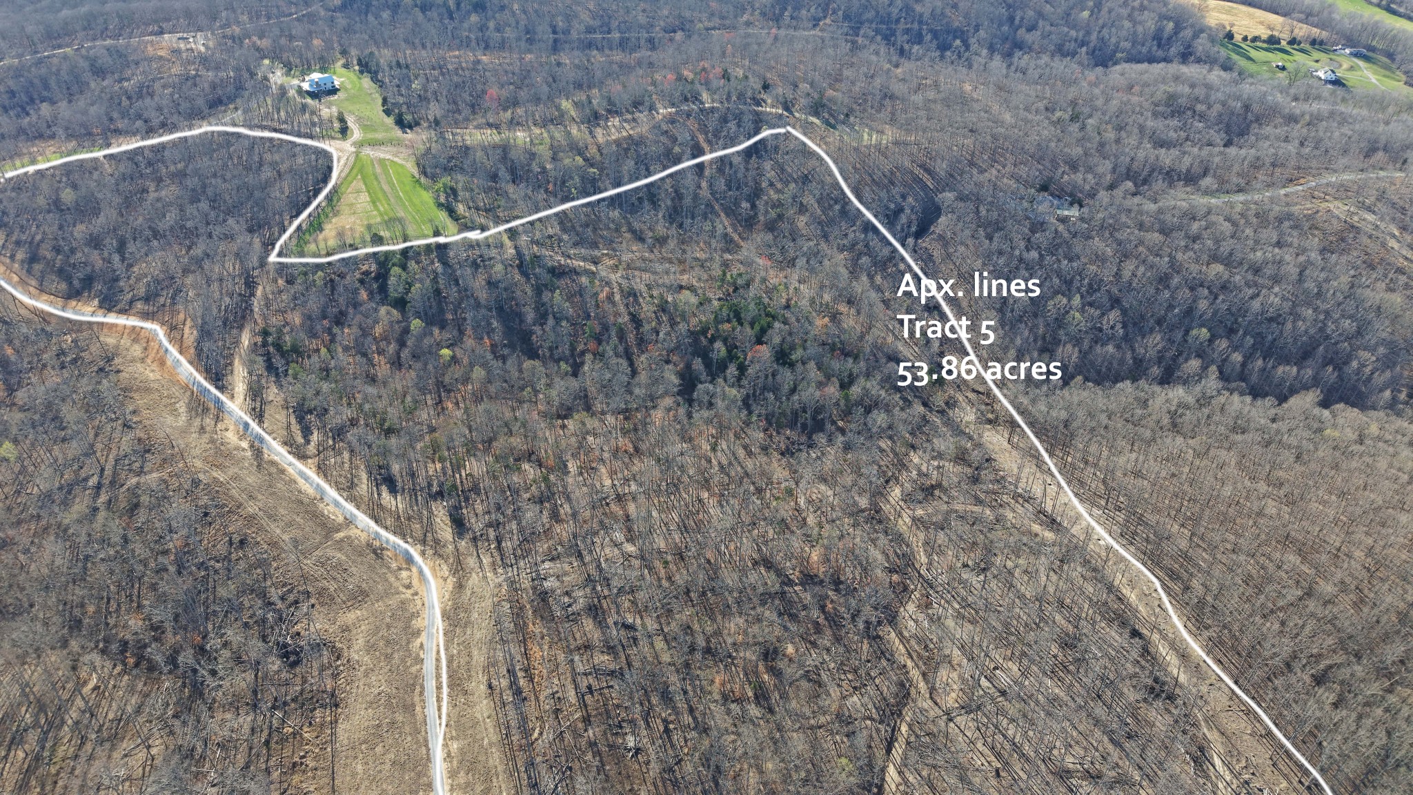 5 Oak Rdg Road Vanleer, TN 37181 - Photo 2 of 9