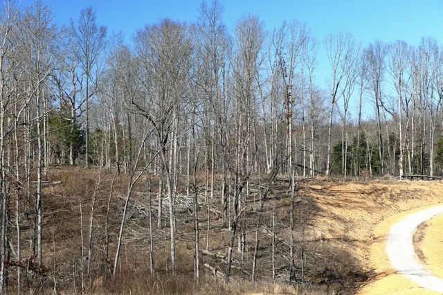 $405,000 | 5 Oak Rdg Road, Vanleer, TN 37181