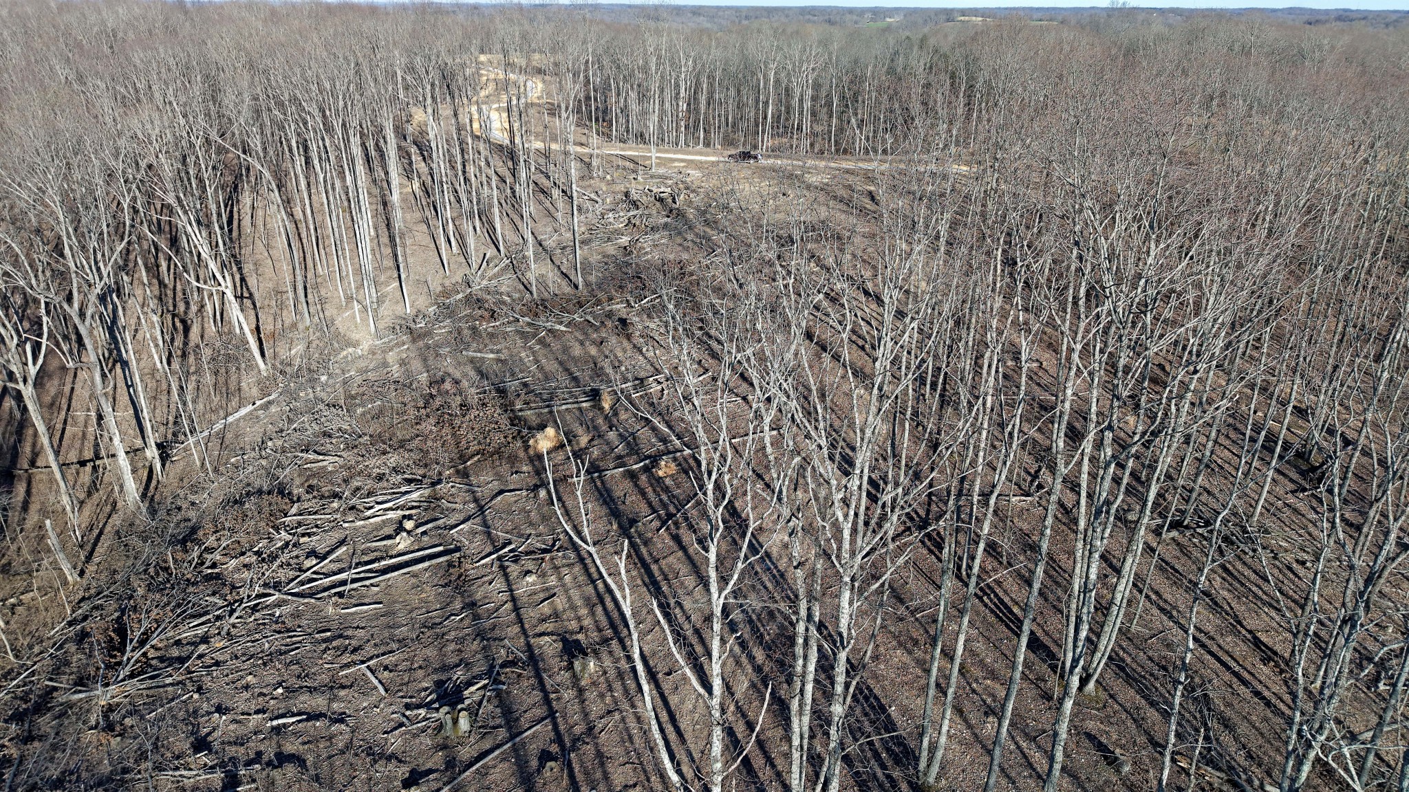 5 Oak Rdg Road Vanleer, TN 37181 - Photo 5 of 9