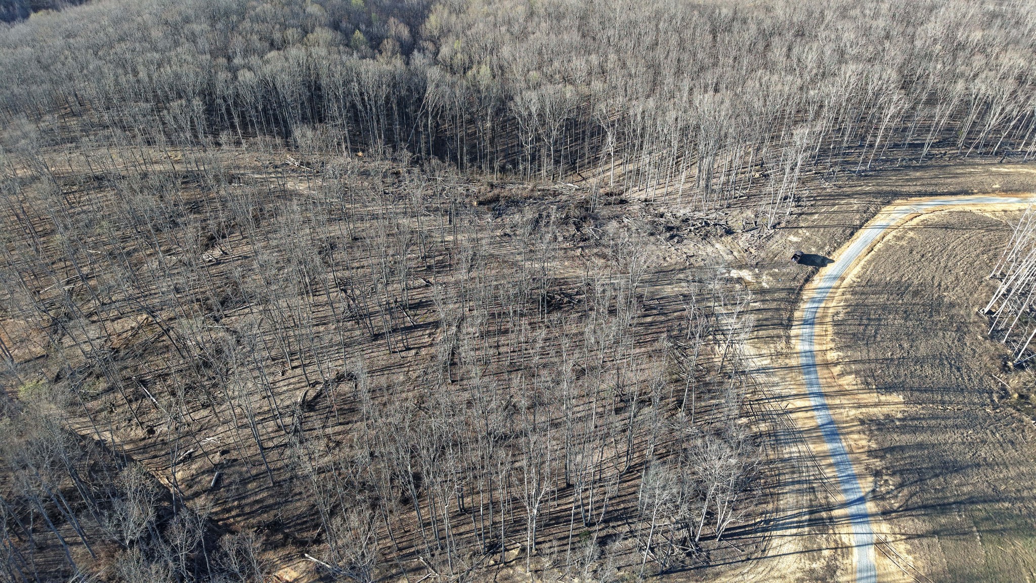 5 Oak Rdg Road Vanleer, TN 37181 - Photo 6 of 9