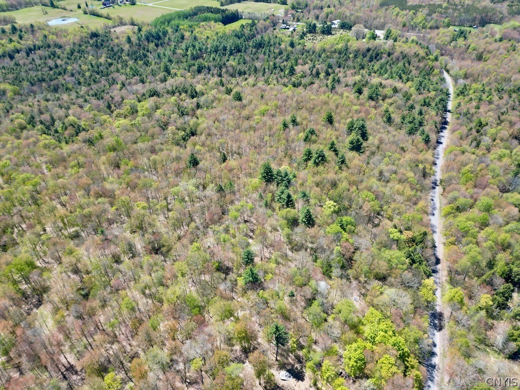 North Hillsborough Road Camden, NY 13316 - Photo 9 of 13
