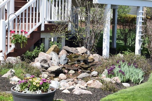 2933 Kelly Drive Elgin, IL 60124 - Photo 52 of 52 a bunch of flowers are in a garden