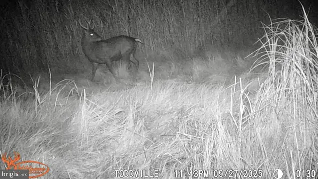 $159,900 | 2703 Toddville Road, Toddville, MD 21672