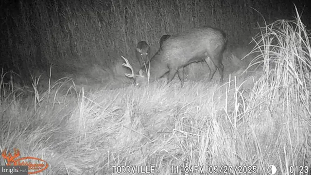 $159,900 | 2703 Toddville Road, Toddville, MD 21672