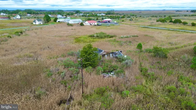 a view of an ocean and beach
