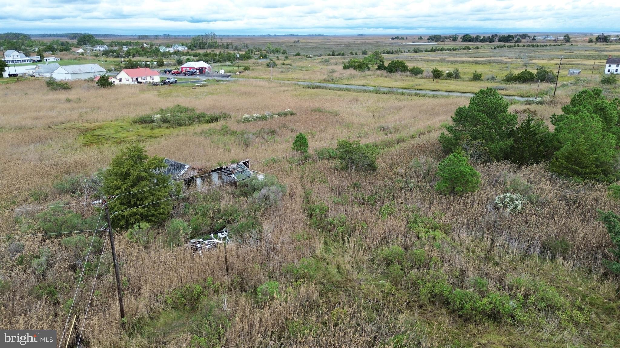 2707 Toddville Road Toddville, MD 21672 - Photo 27 of 49