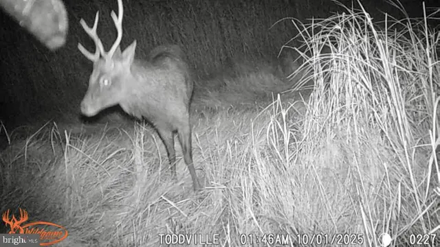 a close up of a wall with a book shelf