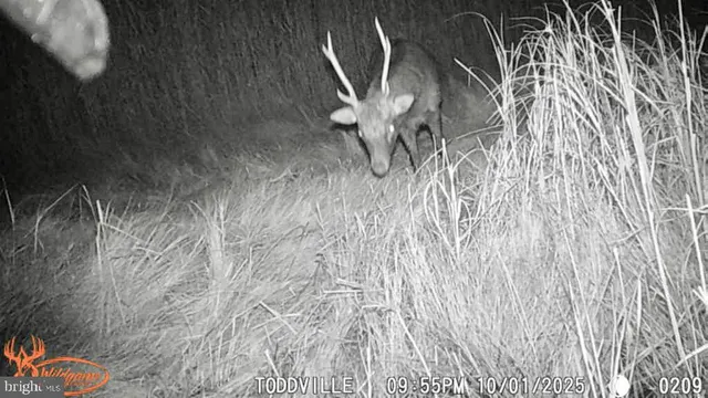 $159,900 | 2703 Toddville Road, Toddville, MD 21672