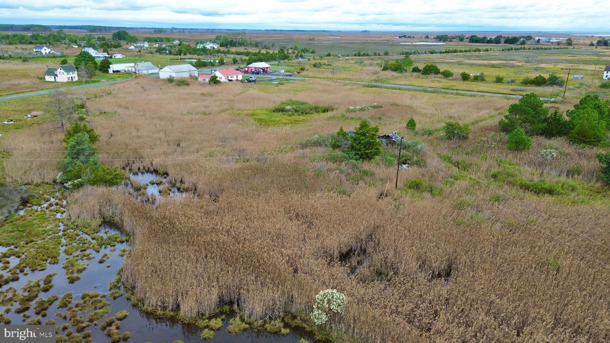 2707 Toddville Road Toddville, MD 21672 - Photo 31 of 49