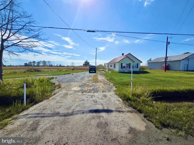 a close view of backyard of house