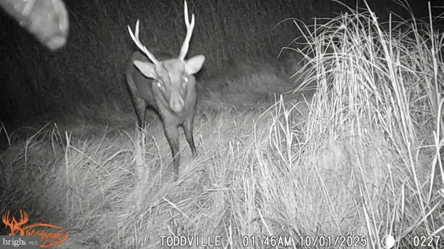 a picture of a room with table and wooden floor