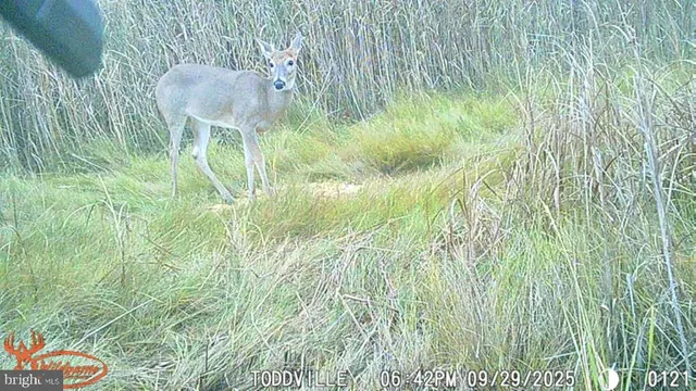 $159,900 | 2703 Toddville Road, Toddville, MD 21672