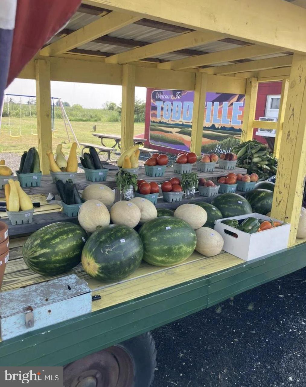 2707 Toddville Road Toddville, MD 21672 - Photo 48 of 49 Elijah's General Store across the street