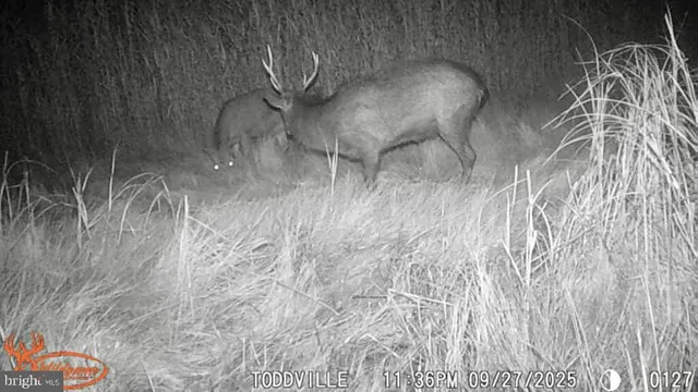 $159,900 | 2703 Toddville Road, Toddville, MD 21672