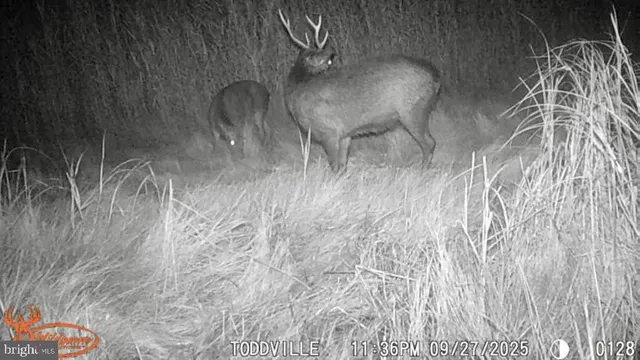 a picture of a room with wooden floor