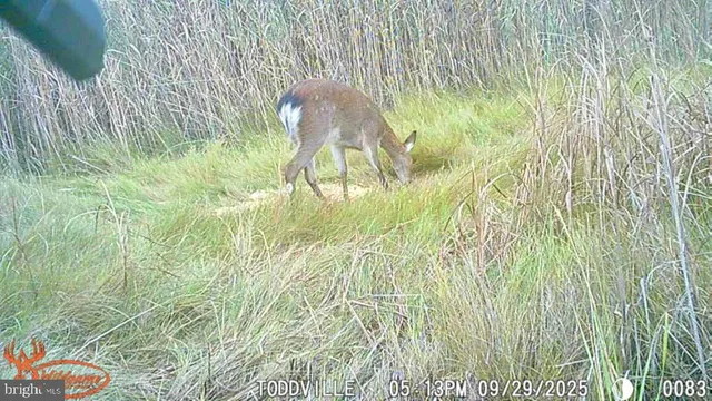 $159,900 | 2703 Toddville Road, Toddville, MD 21672