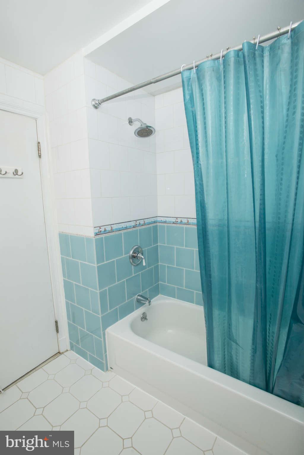 600 Sussex Road Baltimore, MD 21286 - Photo 16 of 30 Bath