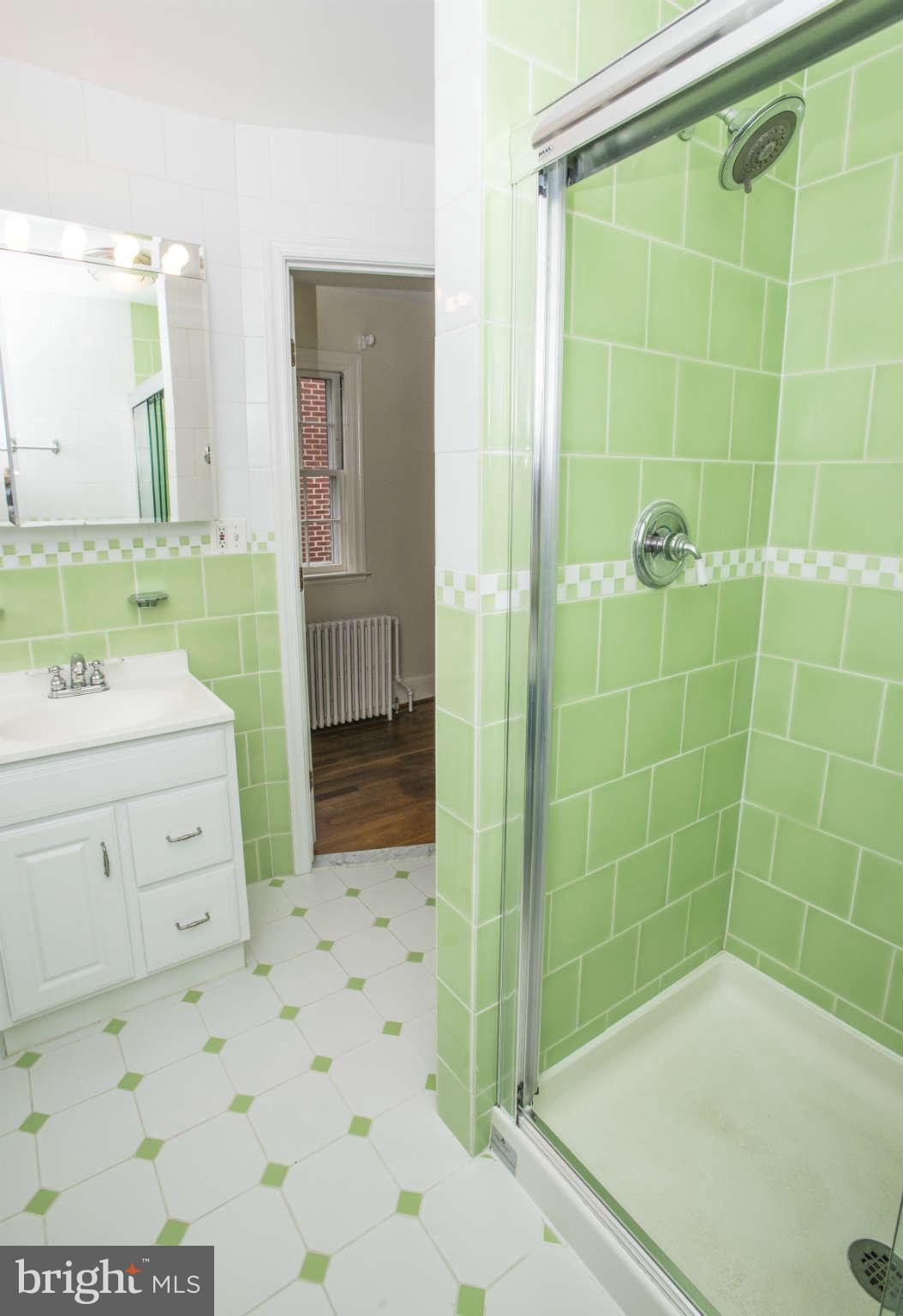 600 Sussex Road Baltimore, MD 21286 - Photo 19 of 30 Bath (Master)