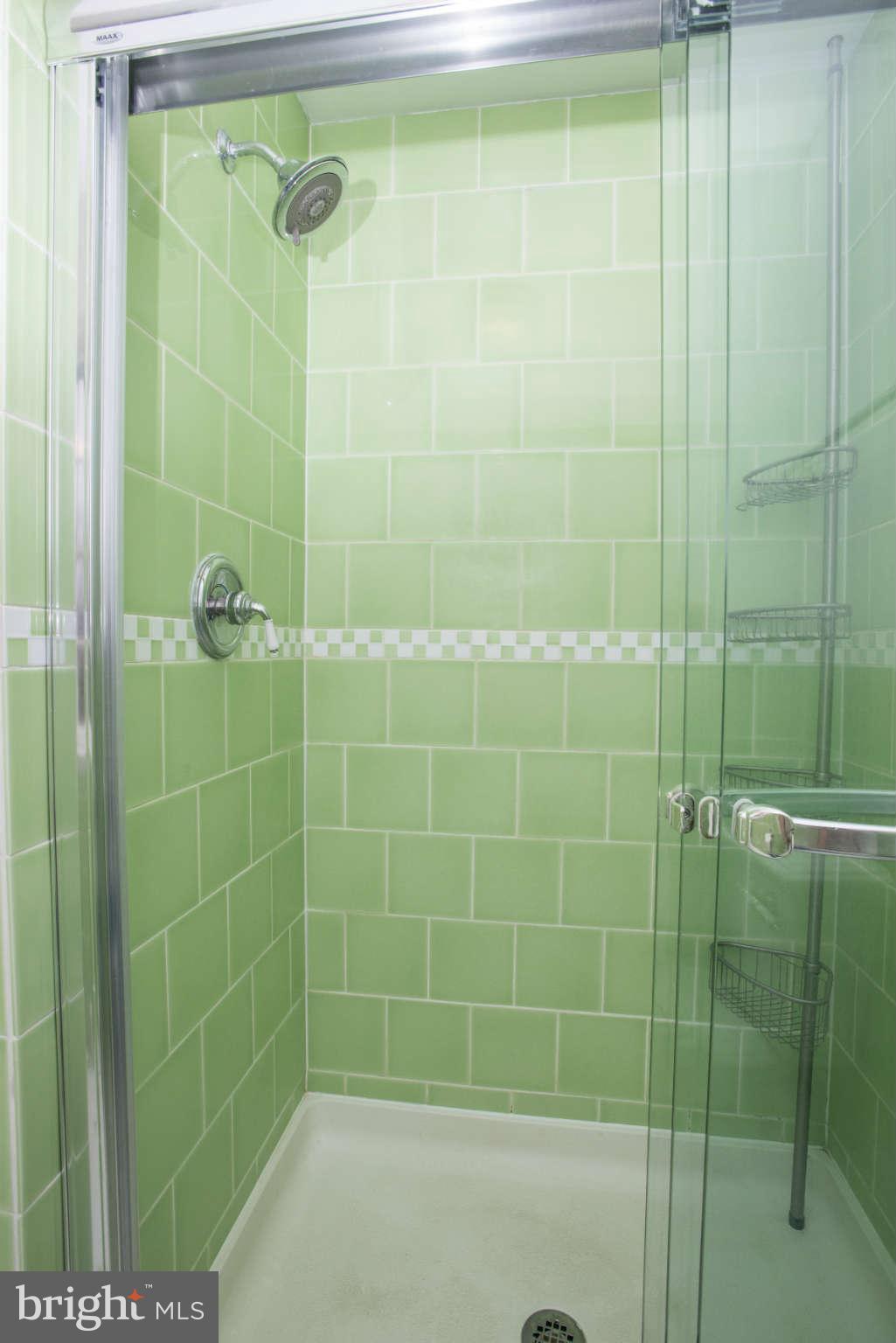 600 Sussex Road Baltimore, MD 21286 - Photo 20 of 30 Bath (Master)