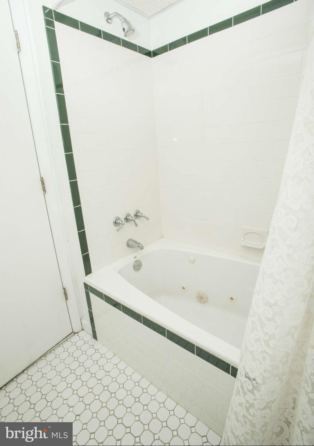 600 Sussex Road Baltimore, MD 21286 - Photo 25 of 30 Basement Full Bath, jetted tub