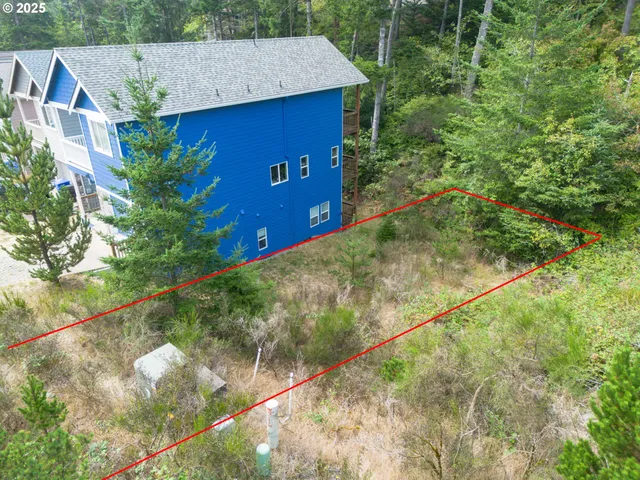 a view of a yard with plants