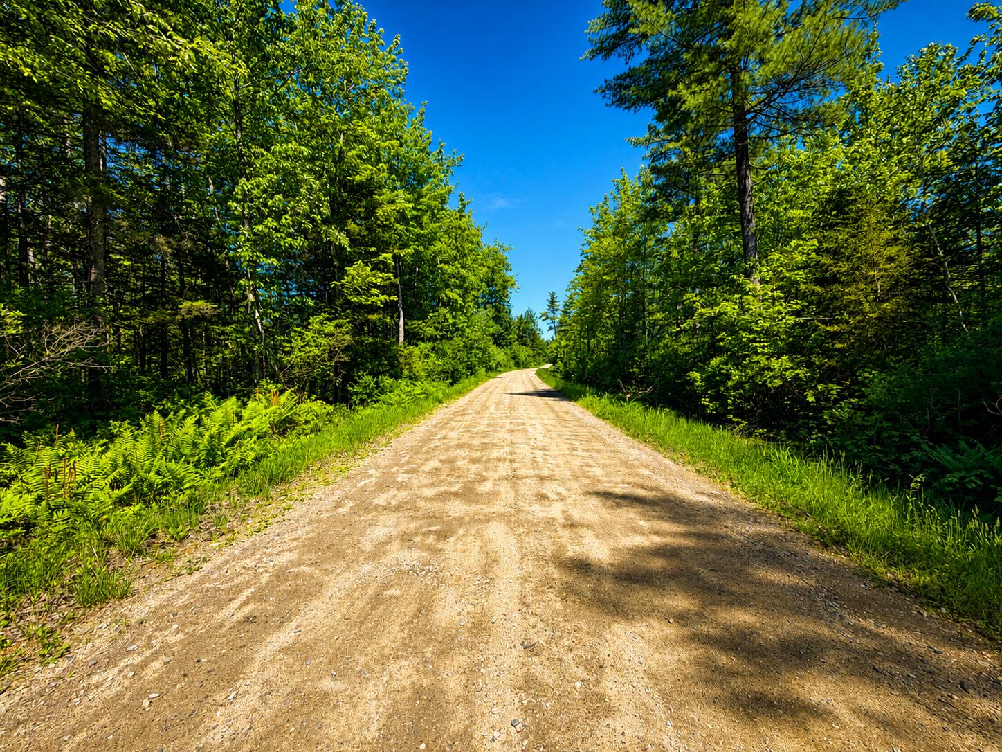 Lot 1 Curtis Road Arundel, ME 04046 - Photo 6 of 6 road1