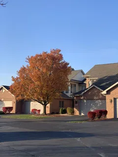 $390,000 | 6702 Pondview Drive, Tinley Park, IL 60477