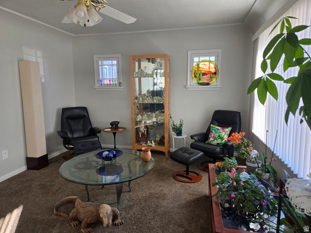 250 West 200 N Street Beaver, UT 84713 - Photo 15 of 63