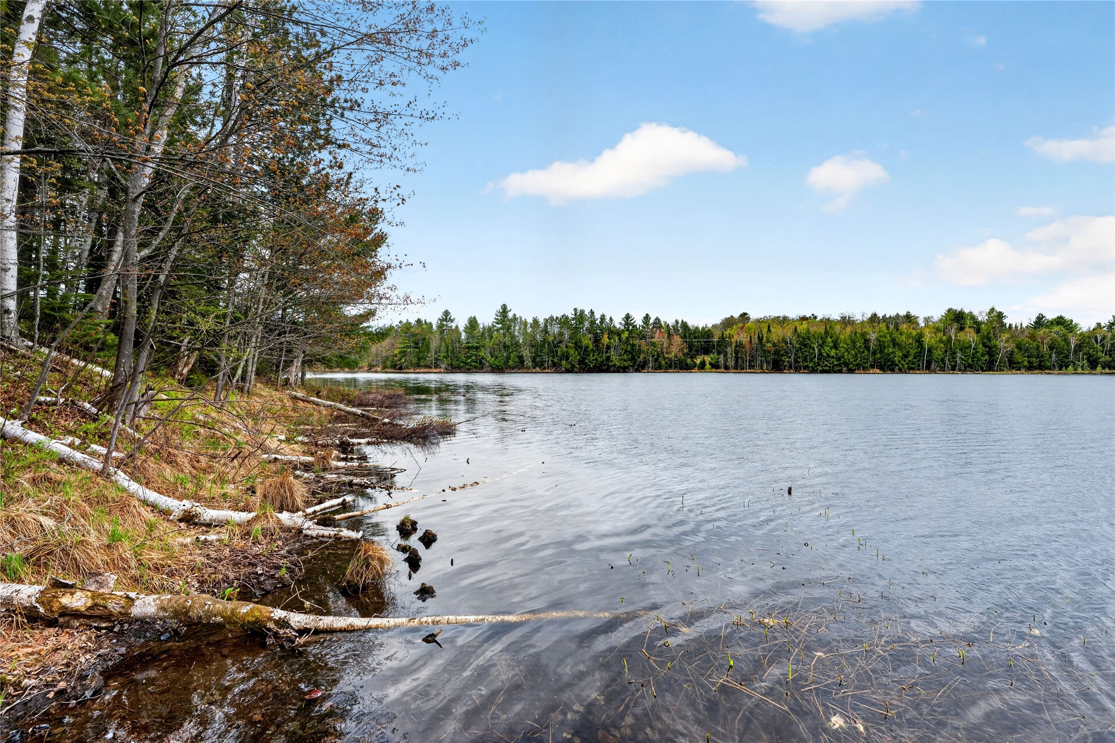 43105 Helm Pt Road Cable, WI 54821 - Photo 47 of 59