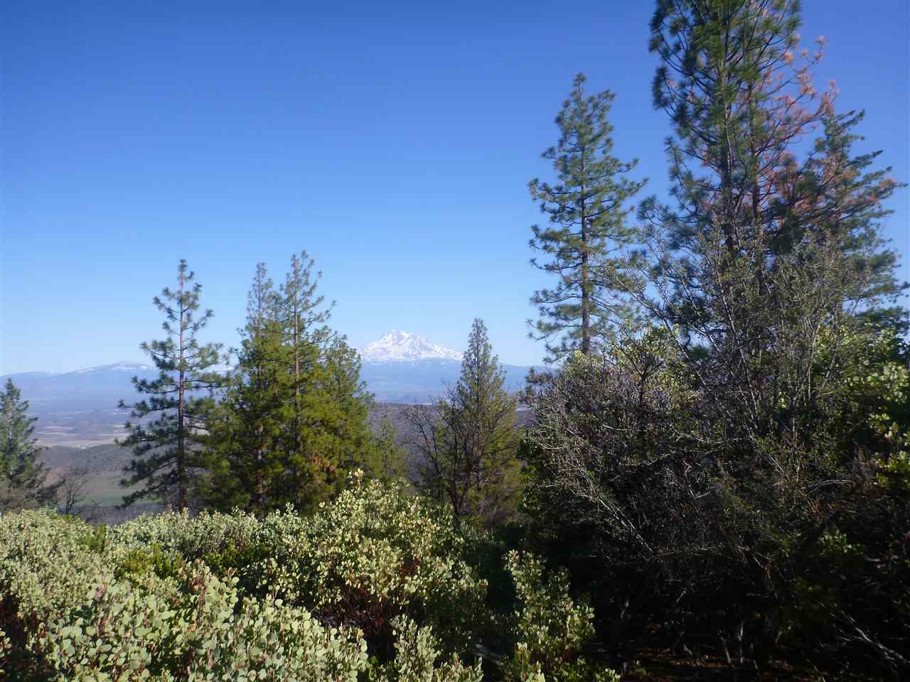 0 Guys Gulch Road Yreka, CA 96097 - Photo 6 of 16 Gallery Image 6