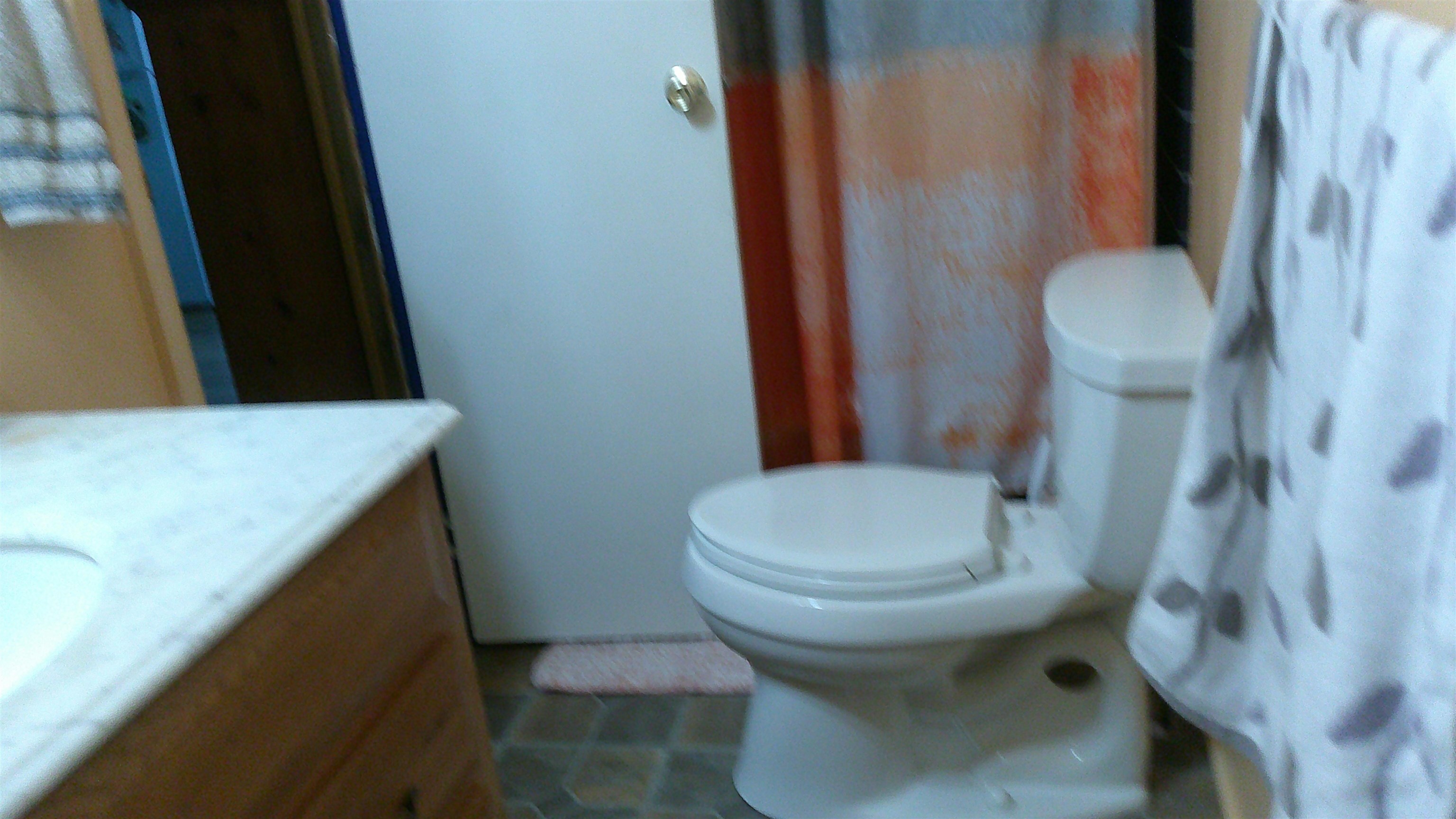 2518 Estaline Valley Road Goshen, VA 24439 - Photo 29 of 31 Gallery Image 29