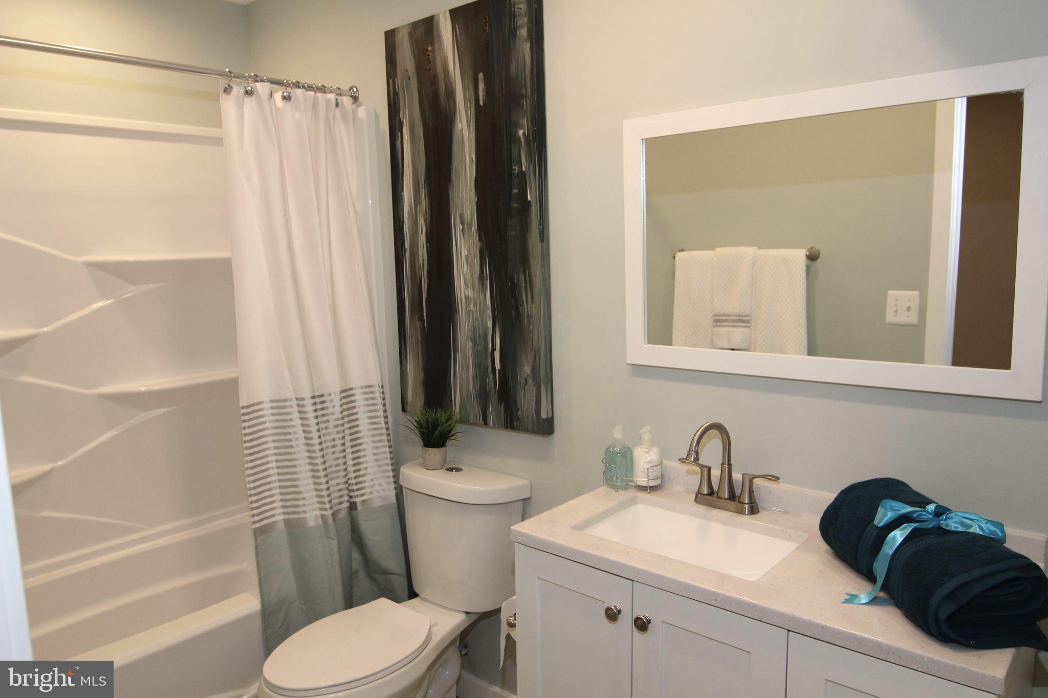 11600 Brandon Hill Way Reston, VA 20194 - Photo 34 of 60 Basement Full Bath
