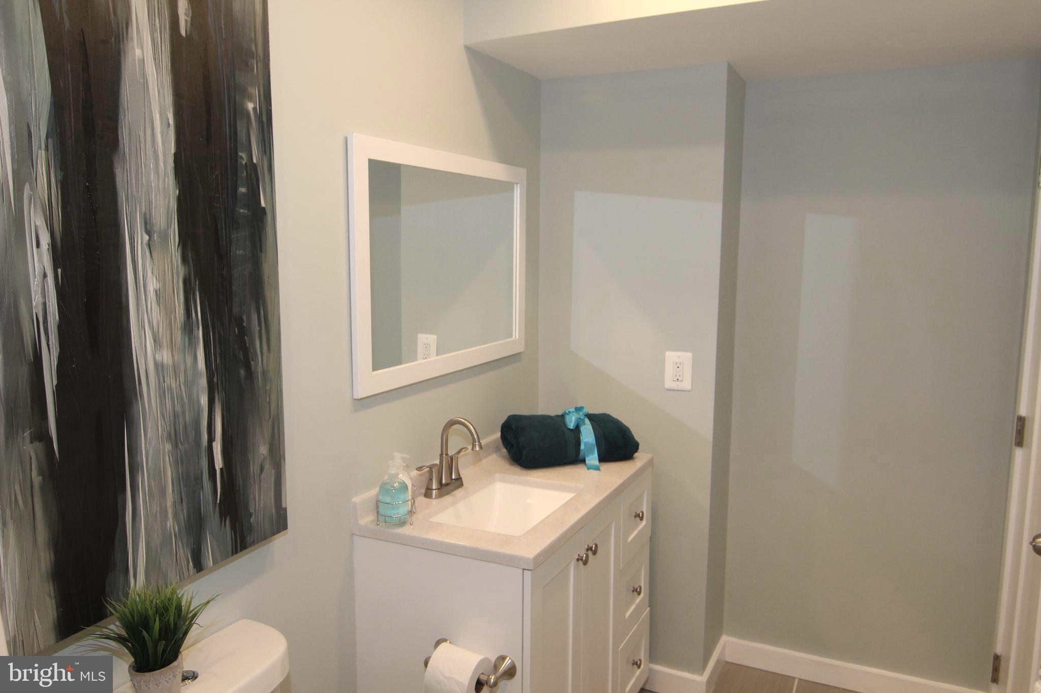 11600 Brandon Hill Way Reston, VA 20194 - Photo 35 of 60 Reverse of Bath