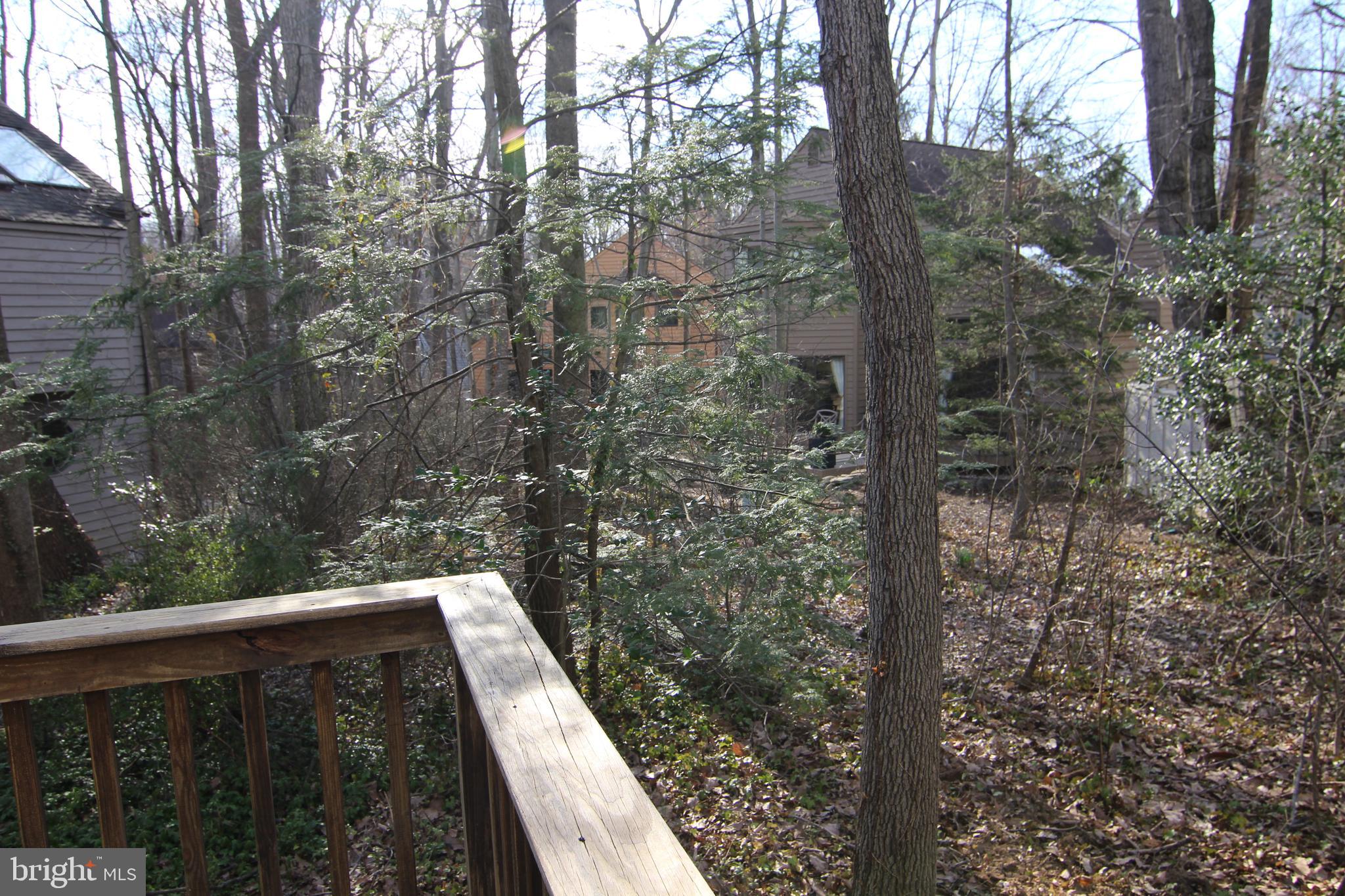 11600 Brandon Hill Way Reston, VA 20194 - Photo 46 of 60 Just wait until these trees fill in!