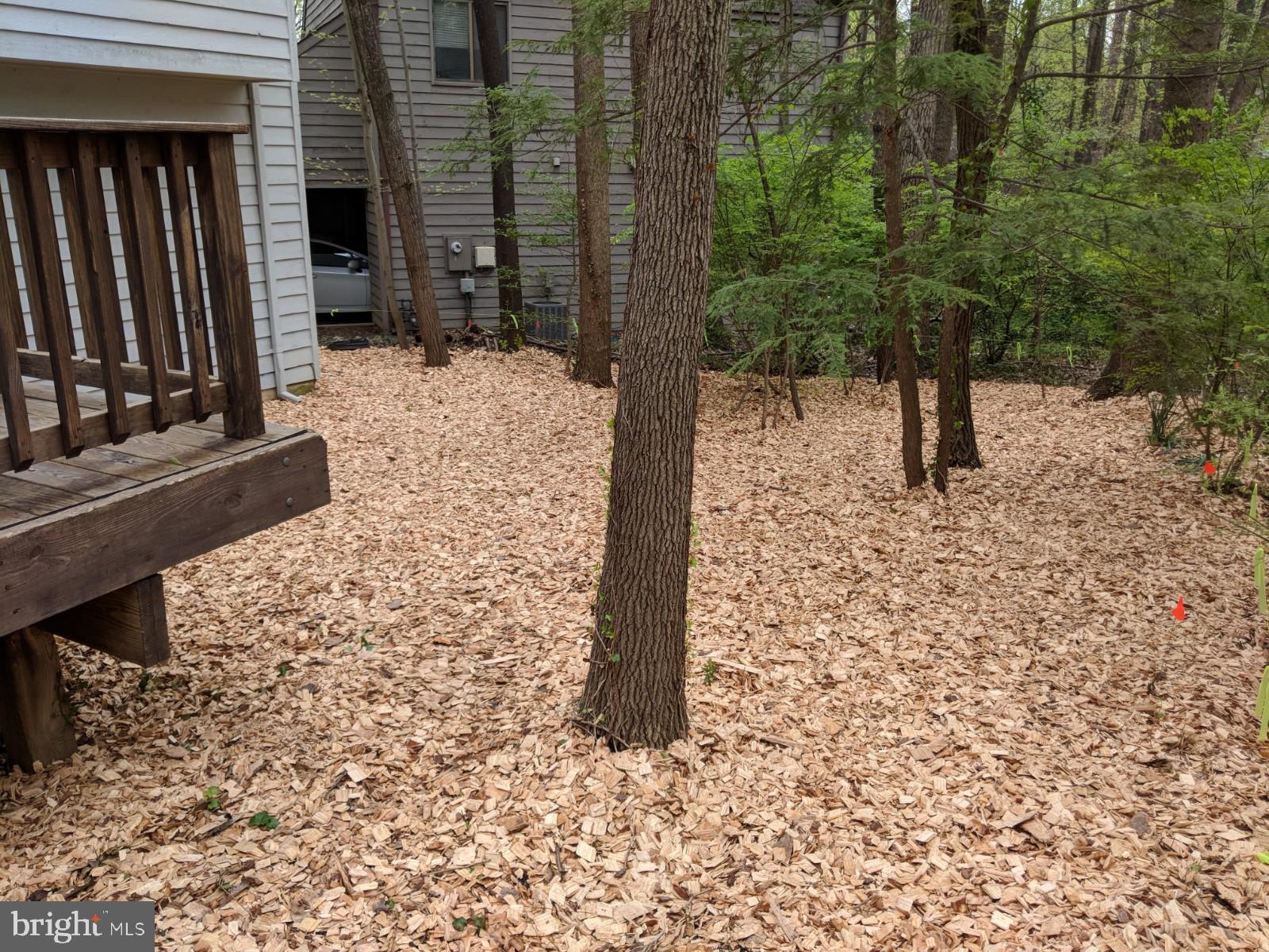 11600 Brandon Hill Way Reston, VA 20194 - Photo 48 of 60 Backyard
