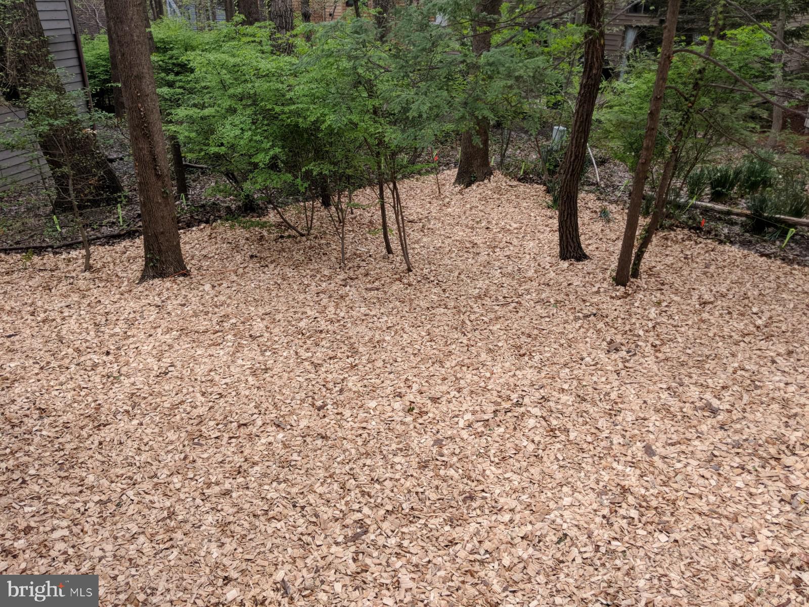 11600 Brandon Hill Way Reston, VA 20194 - Photo 49 of 60 Backyard