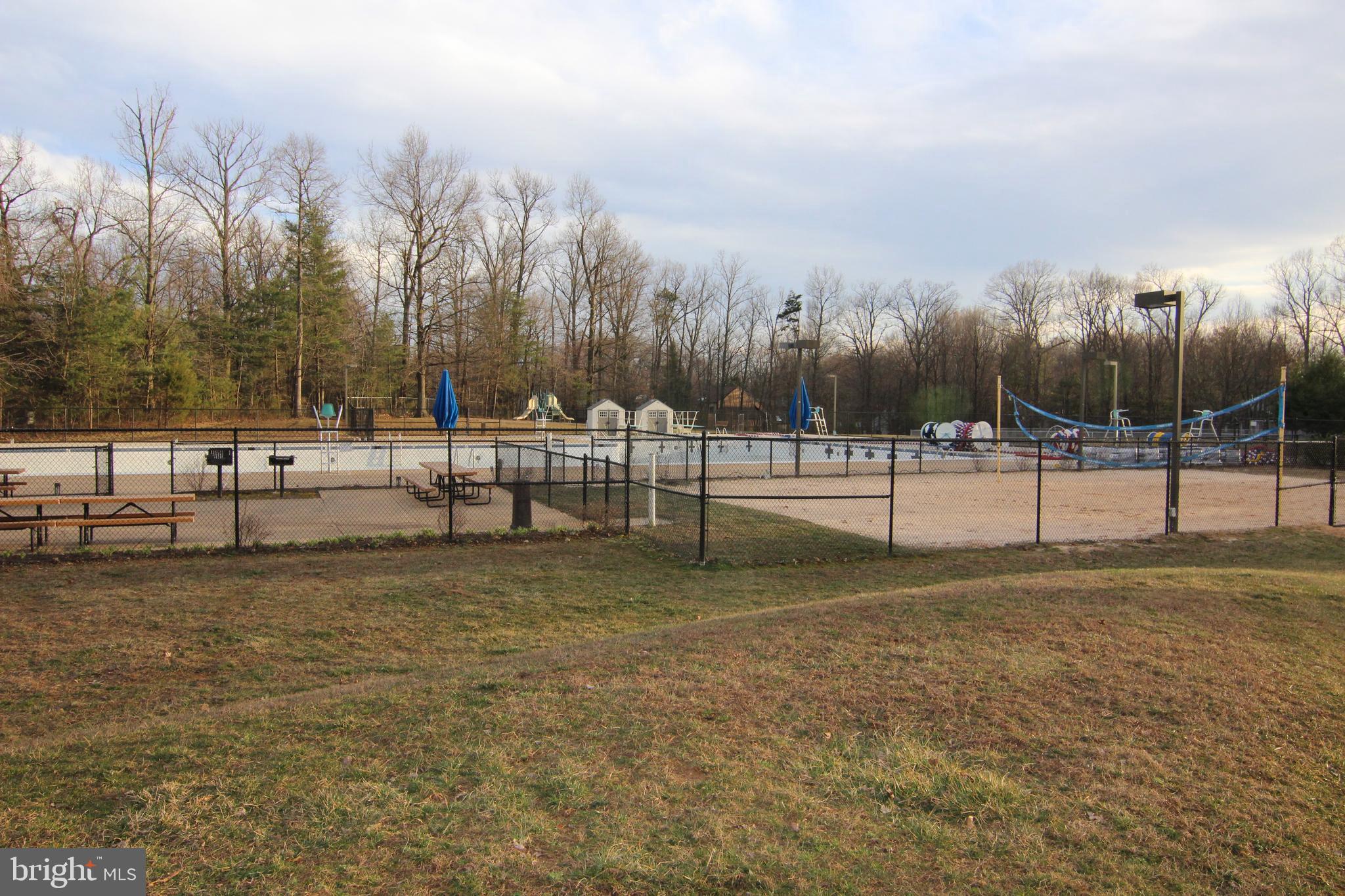 11600 Brandon Hill Way Reston, VA 20194 - Photo 59 of 60 Swimming Pool