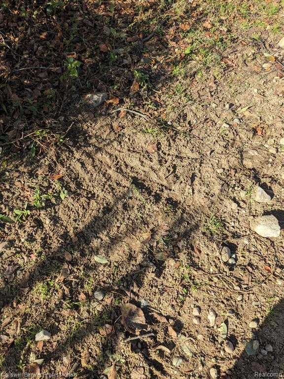 7168 Willis Road Brown City, MI 48416 - Photo 14 of 24